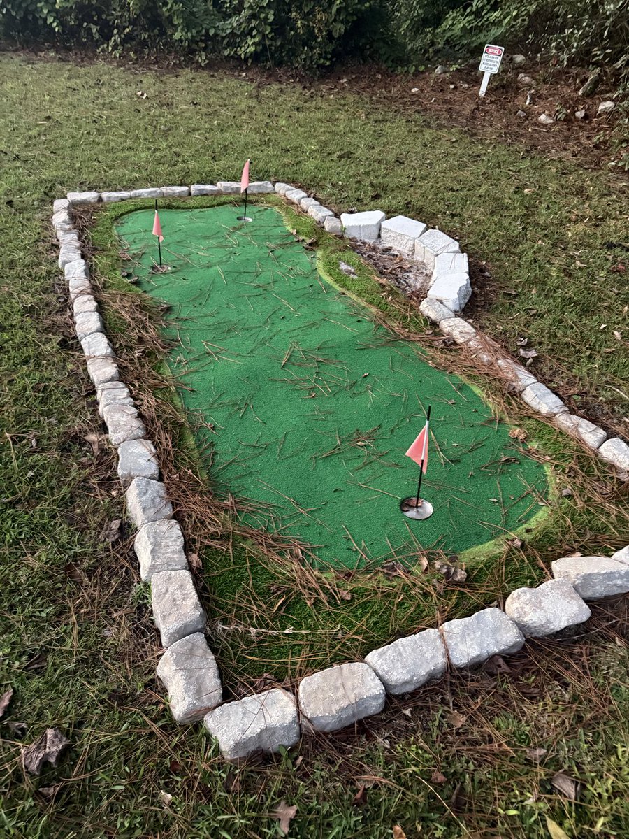 excel_ranger's tweet image. The putting green at our Airbnb