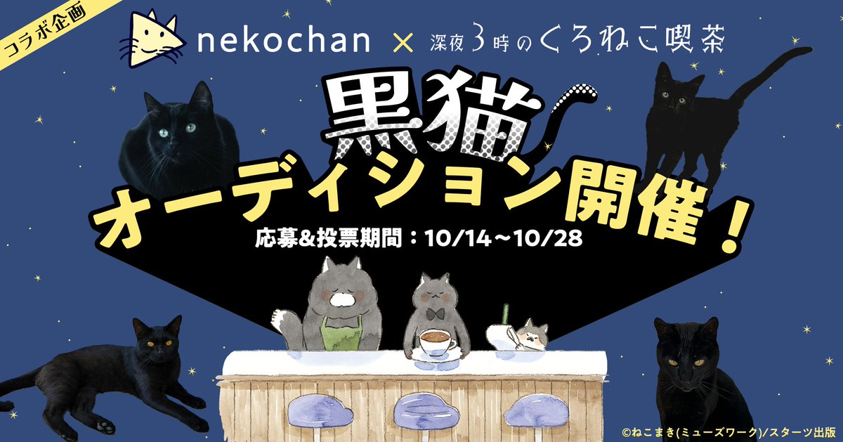 黒猫ページ 🐈‍⬛🎉【#nekochan × コミック『#深夜3時のくろねこ喫茶』コラボ企画