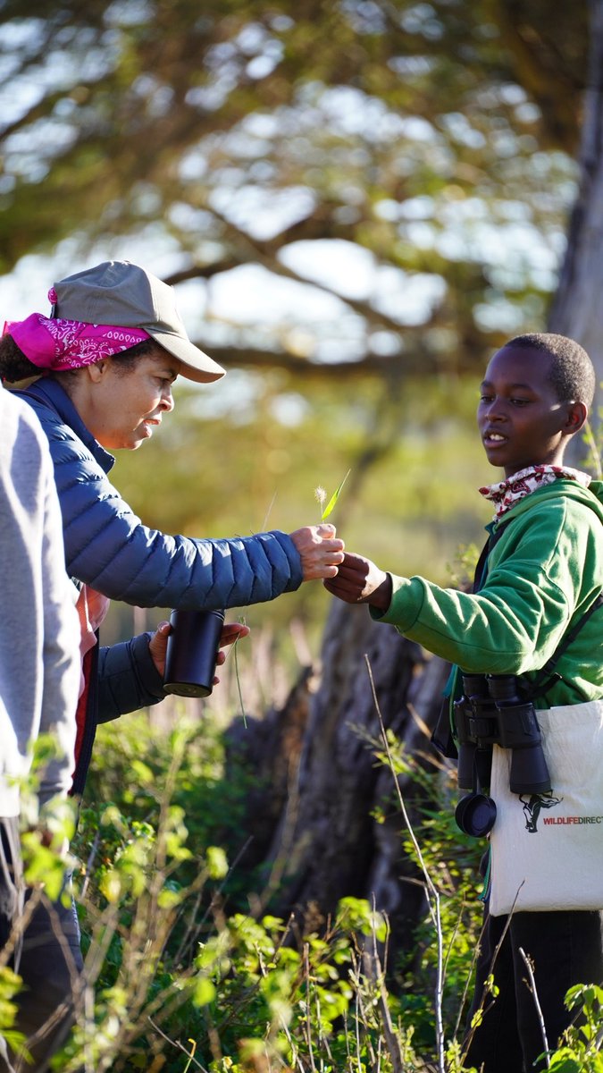 .@kwskenya ⁦⁦<a href="/Environment_Ke/">Ministry of Environment, Climate Change & Forestry</a>⁩ ⁦<a href="/rebecca_miano/">CS Rebecca Miano, EGH</a>⁩ ⁩ #BiomimicrySafari2025 is underway at ⁦<a href="/MpalaResearch/">Mpala Research Centre</a>⁩. Kenyan Students are learning regenerative design inspired by Natures genius.

#Designing4life.
4LedBynature. Powered by Africa’s brilliant youth.