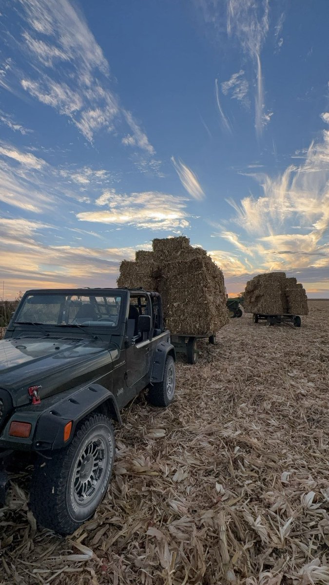 Laura Hofmeister tweet media