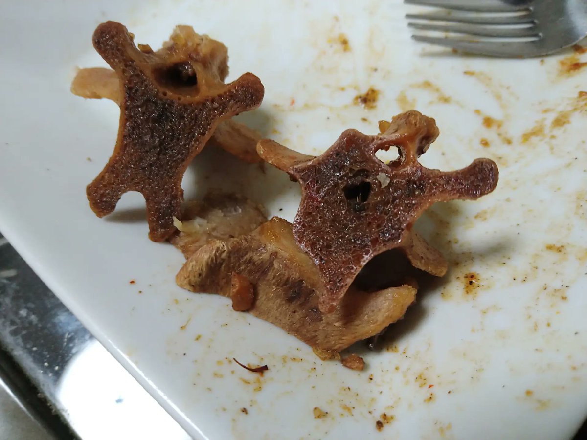 完売御礼。
皆さんありがとうございました。
オレのまかないは具の無いシチューとカレーでした。
厳しい店主から合格もらえたようなので春あたりにまたやるかもです。
その際はよろしくお願いいたします。

※写真はオックステールの食べ方見本です。