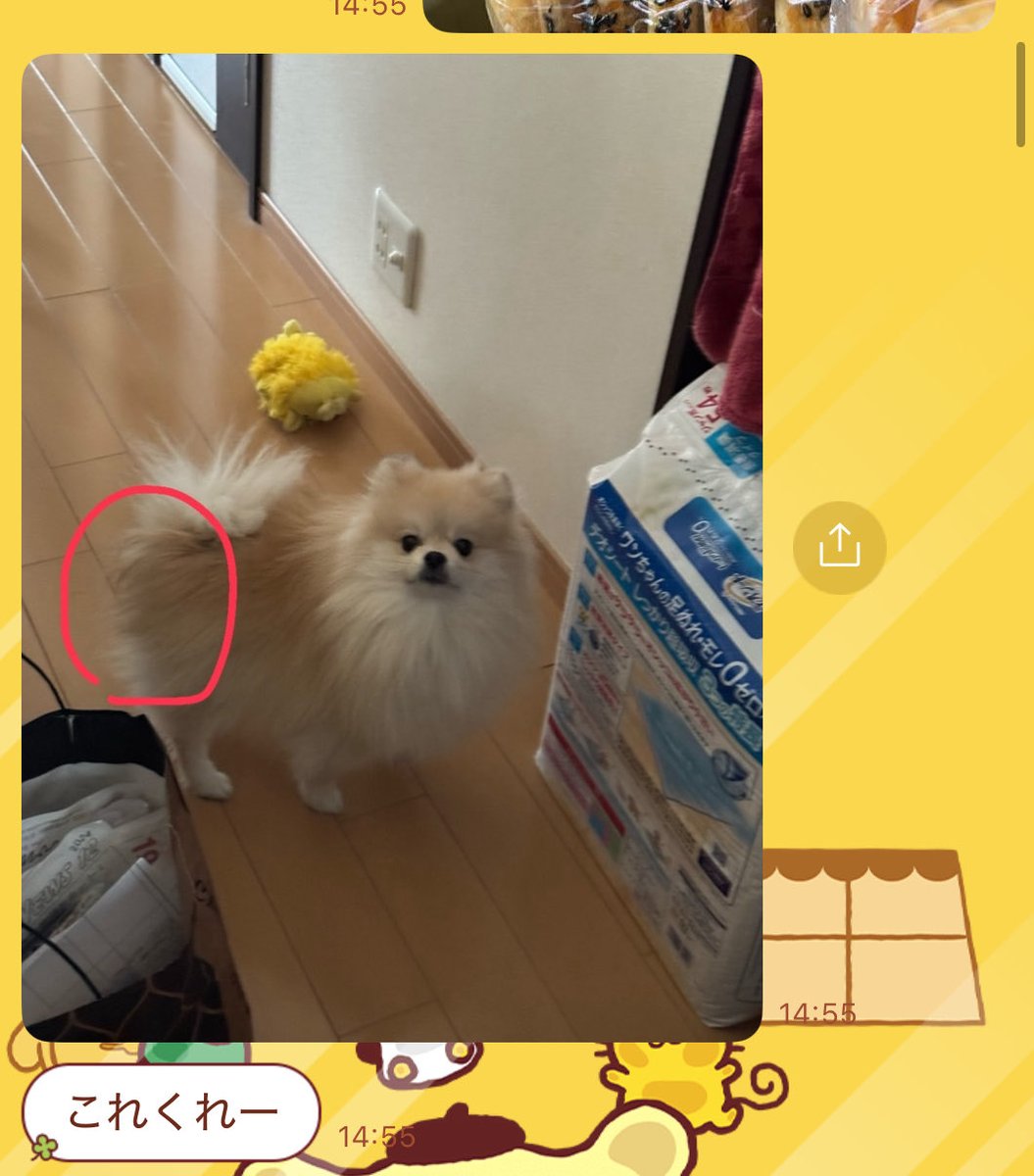 うちは弟と一般的なコミュニケーションしてます(？)