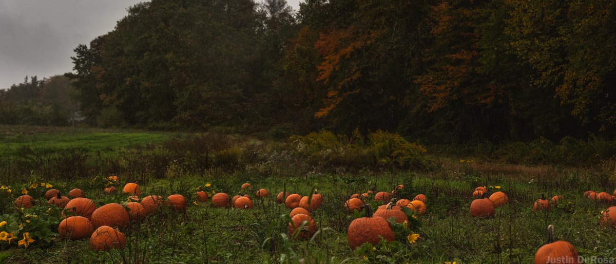 Justinterfacing's tweet image. A panorama from a moody, rainy, October afternoon