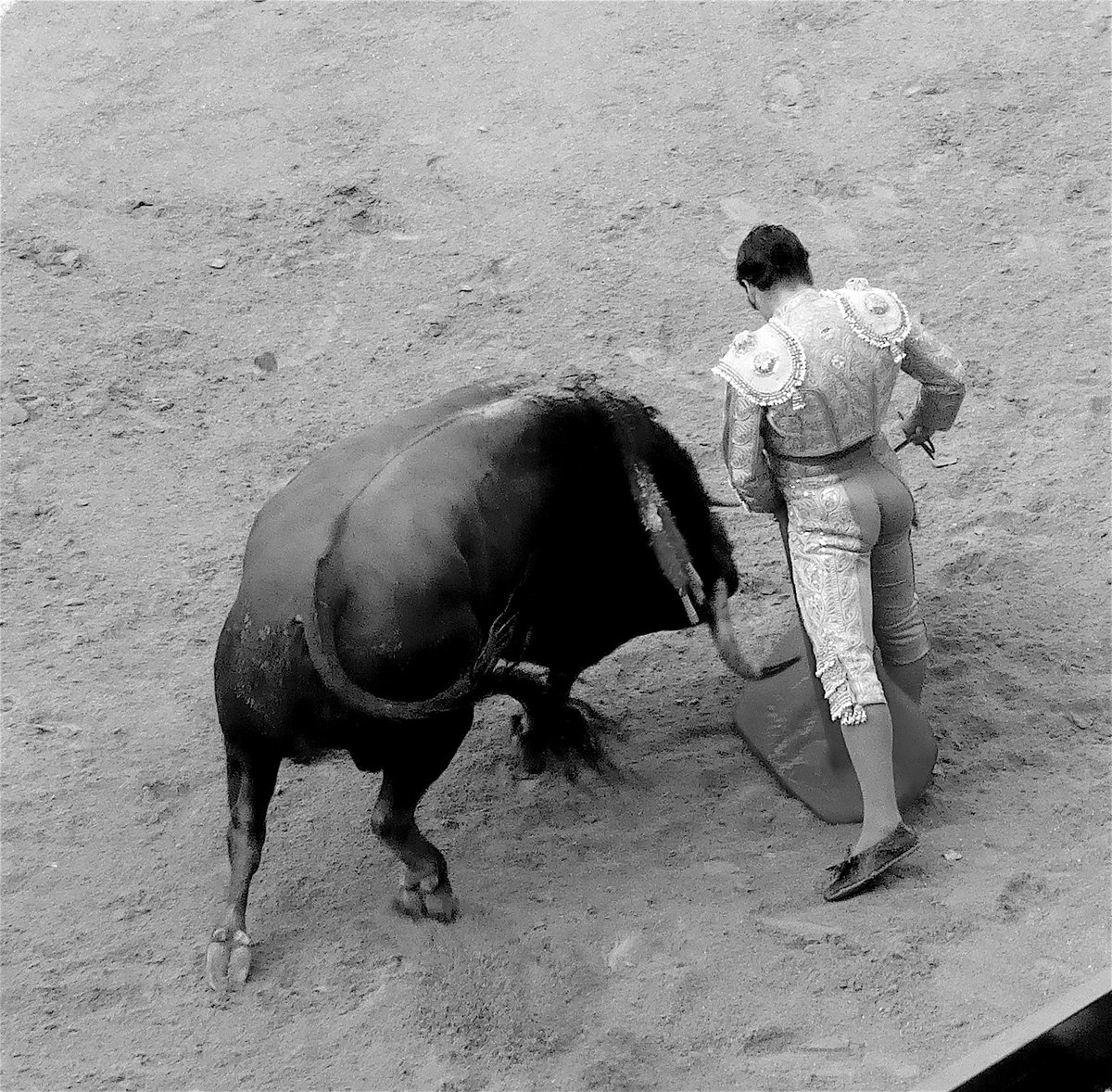 Jacobo Gavira tweet media