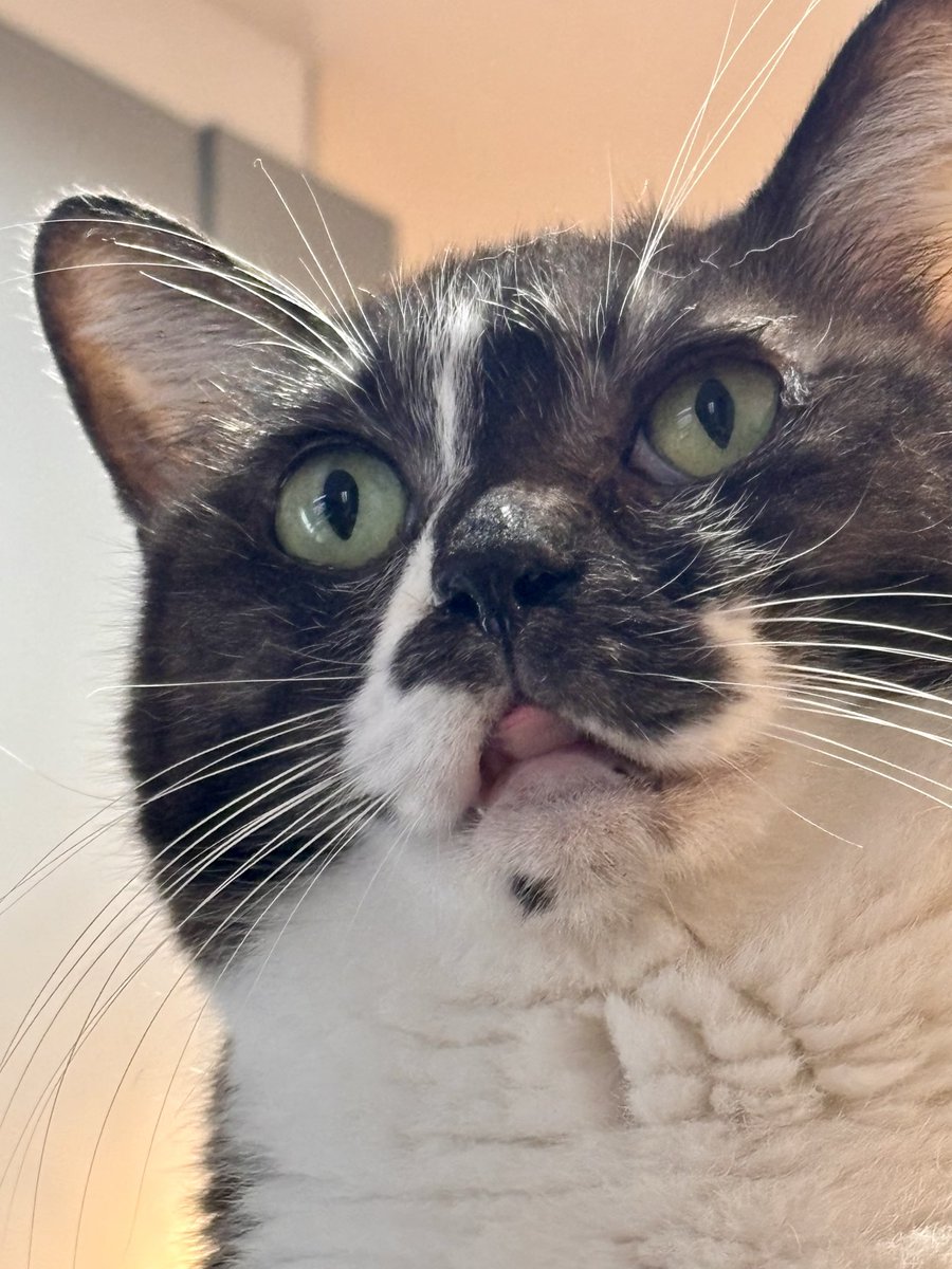 つむぐ tweet media