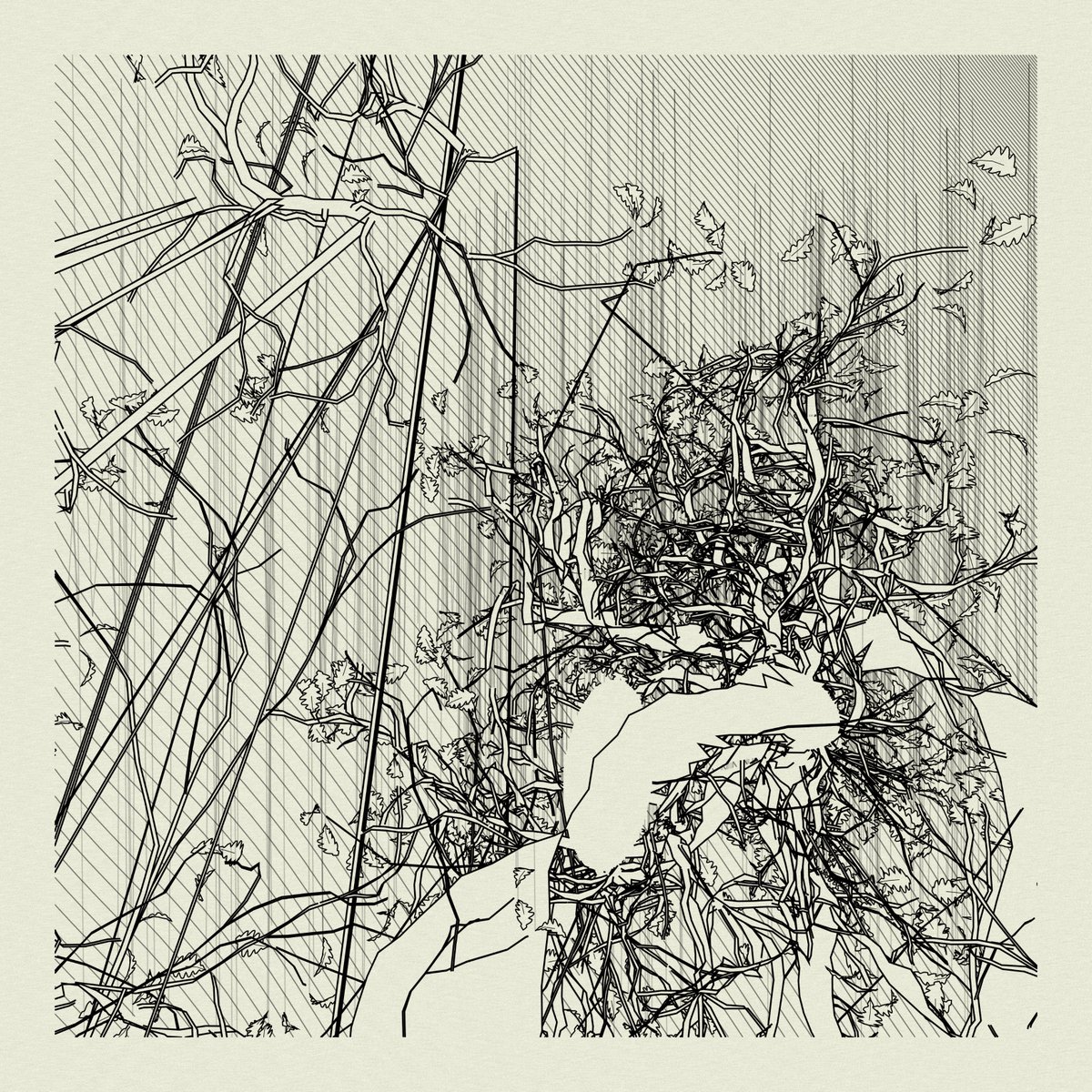 Also jazzed to add two complimentary bugged forests to the vault recently