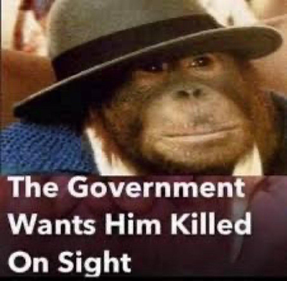 how it feels to be an after the hunt enjoyer