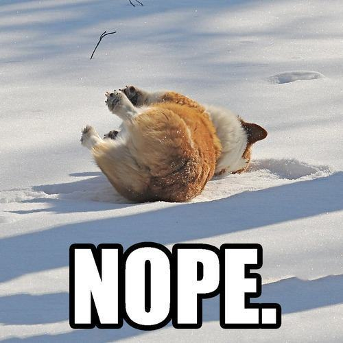 But it's a Dry Heat tweet media