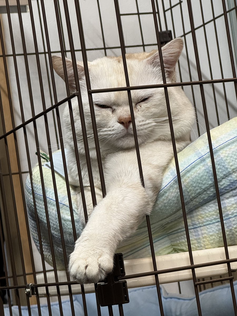 「今日はお休みです」

Final Lap白石です。
今日は店舗休業となります。

これから少し都内へ。
MECのドライバー二人と待ち合わせしてます😁

彼らは寝坊せずに来るか！？（笑）
楽しみです（笑）