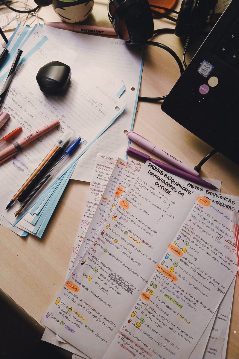 studywlets's tweet image. minhas aulas de hoje foram canceladas então passei o dia estudando bacteriologia clínica 🧫🦠

essa semana tenho 3 provas, me desejem sorte moots 😥