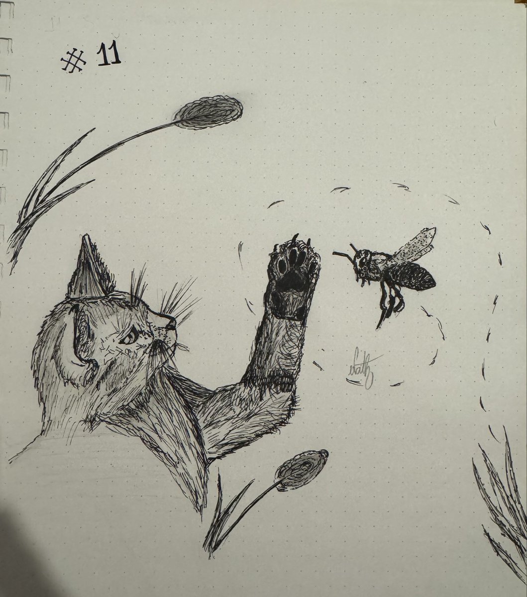 Pasaron cosas.
Trataré de ponerme al día.