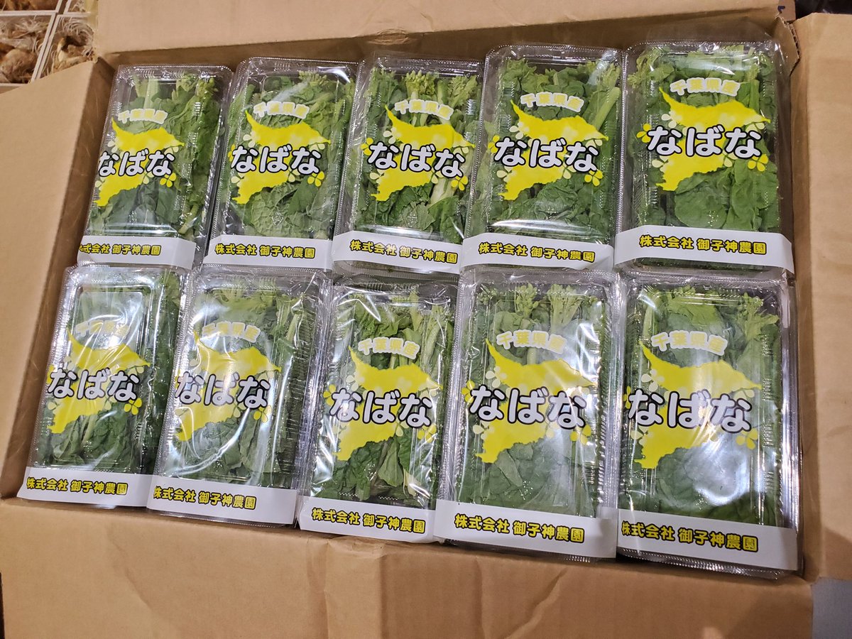 菜の花 - Search / X