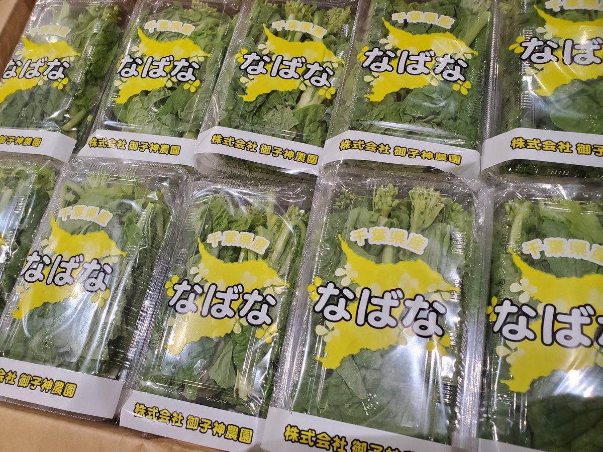 菜の花 - Search / X