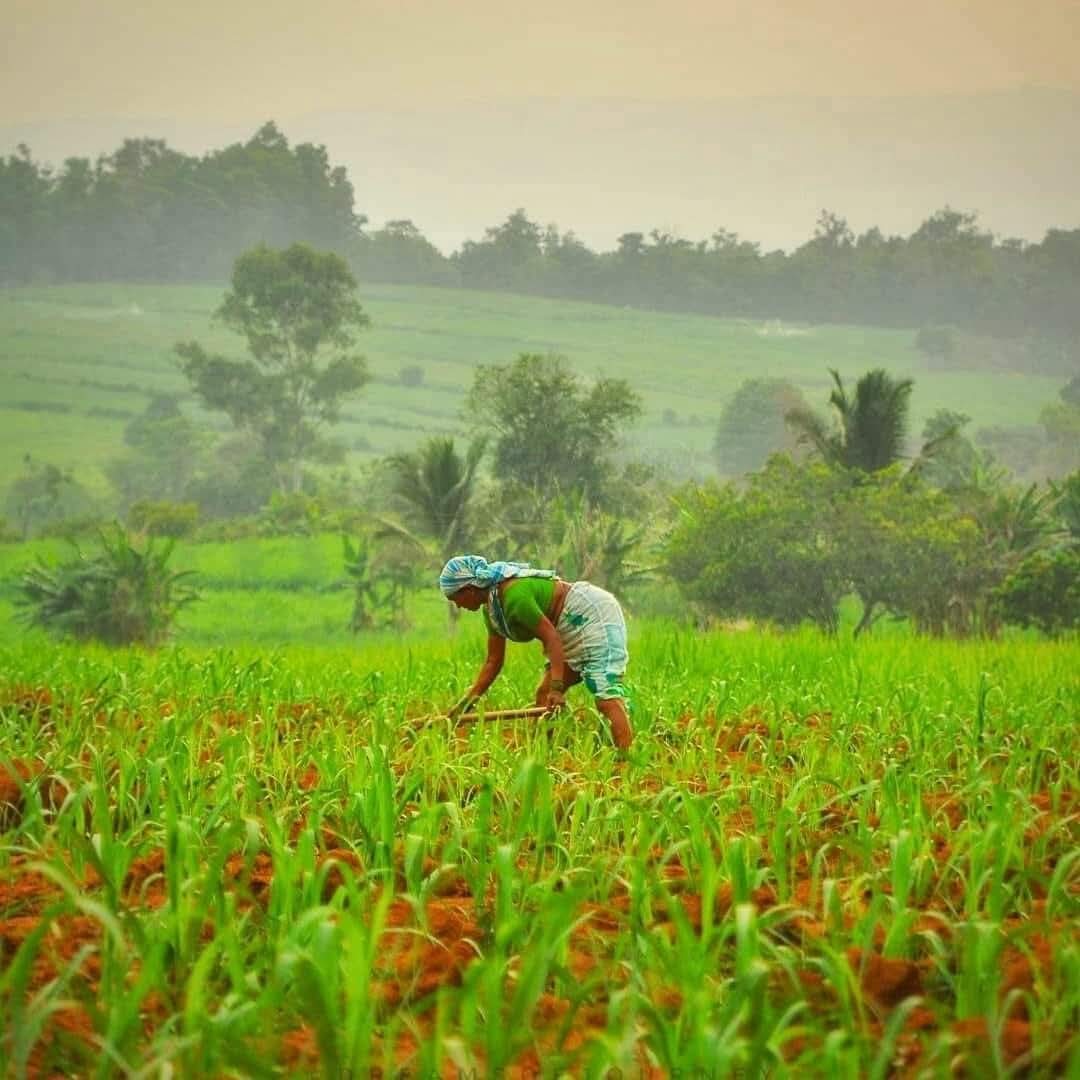 *_🙏🙏जगाच्या मनाप्रमाणे वागण्याची कसरत करणारी माणसं स्वतःचं जगणं विसरुन जात असतात🙏🙏*
*शुभ सकाळ*