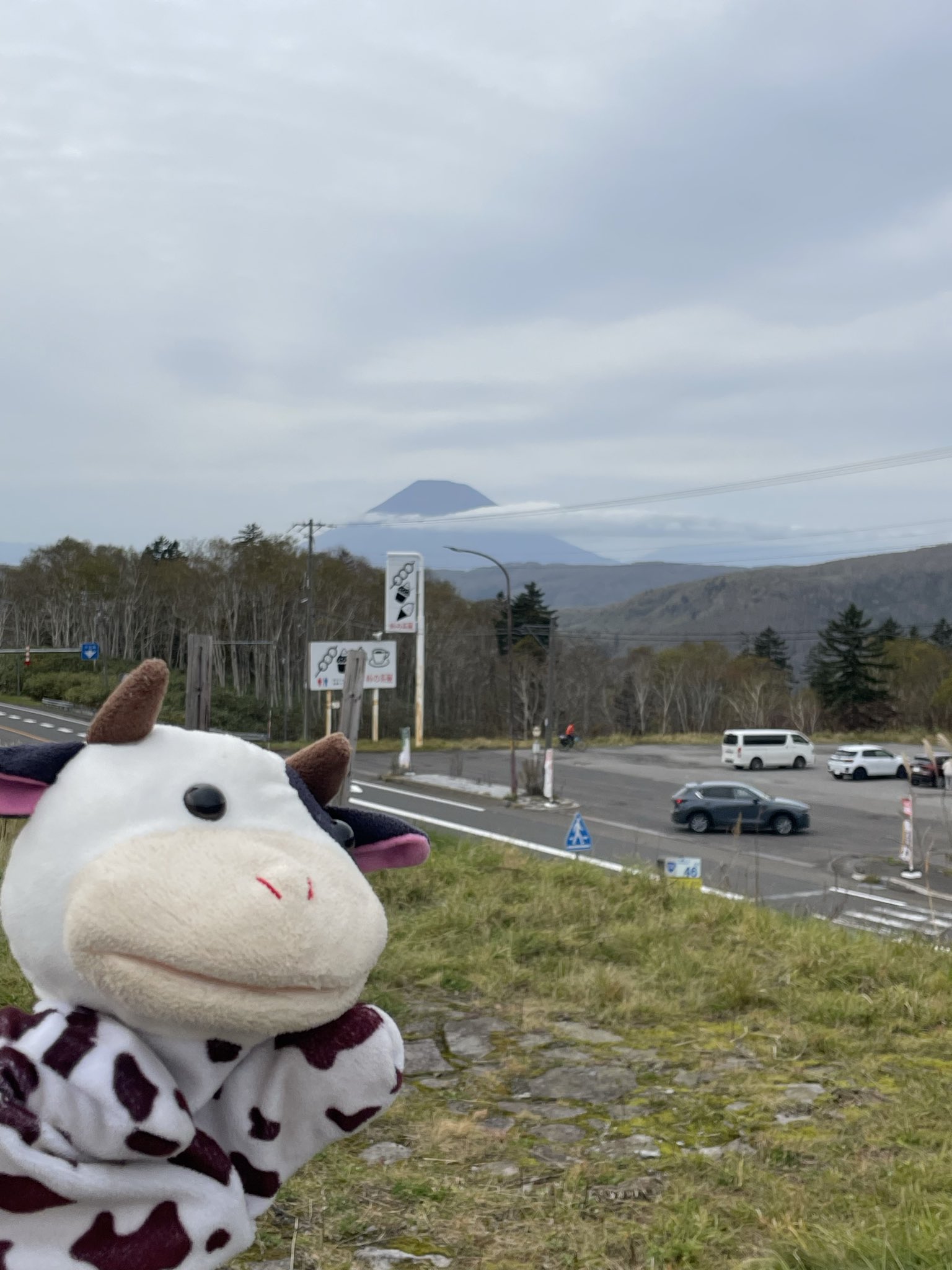 ヒデさん予約品Ａ.セナ (JohnPlayerspecial、トールマン） Porcelain Doll, Seymour Mann, Connoisseur Collection