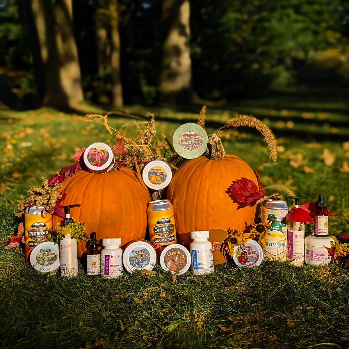 crivercc's tweet image. Fall collection. 🍁🌿
#fall #minnesotamade #minnesota
