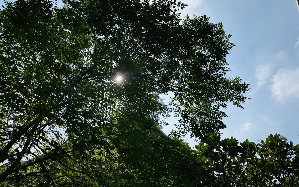 𝔹𝔹&𝕄𝕖 tweet media