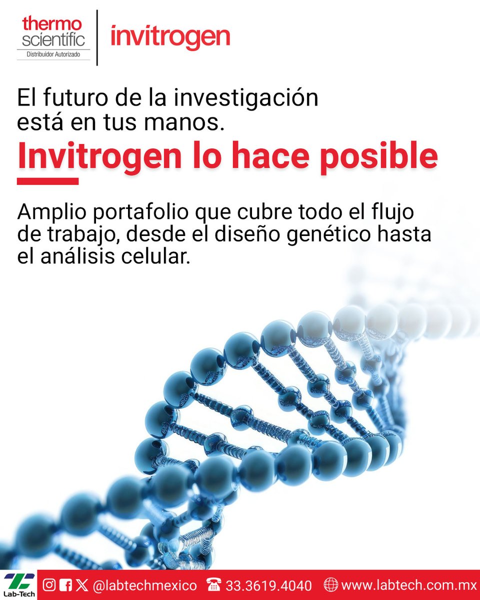LabTechMexico's tweet image. Invitrogen, disponible en Lab-Tech, la marca líder en biología molecular y celular de Thermo Fisher Scientific.

Soluciones que impulsan tus investigaciones hacia resultados confiables, rápidos y reproducibles.

👉 Descubre cómo Invitrogen puede potenciar tu laboratorio.