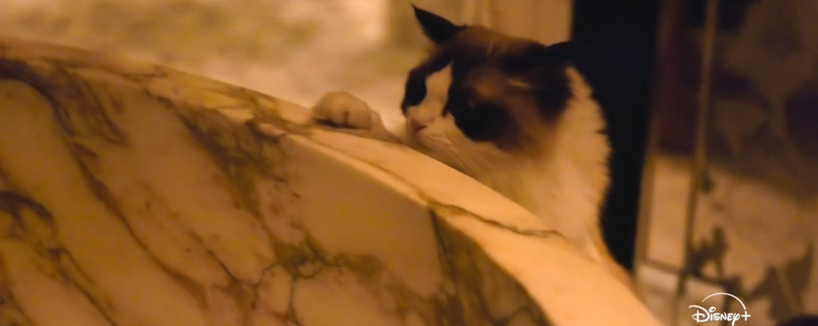 this1smetrying's tweet image. im glad taylor had benji there to make sure the bath was safe for her