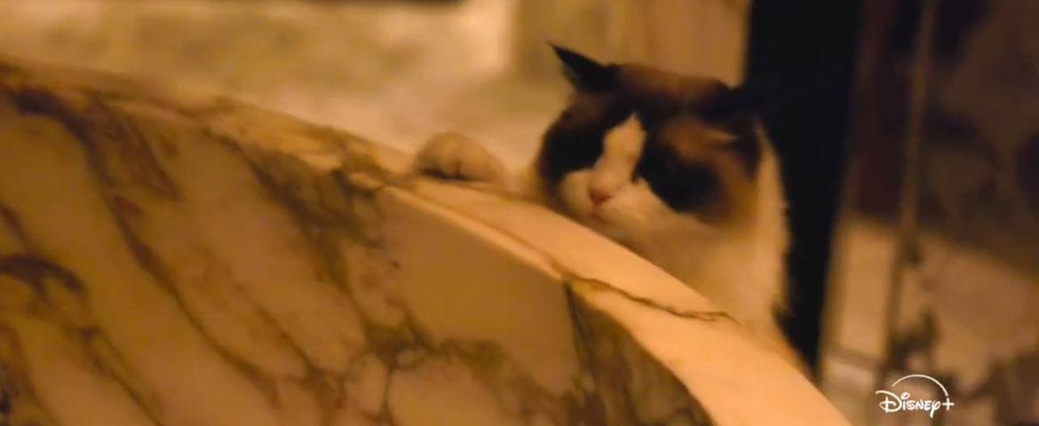 this1smetrying's tweet image. im glad taylor had benji there to make sure the bath was safe for her