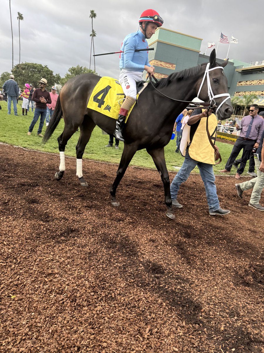 Trackgabe tweet media