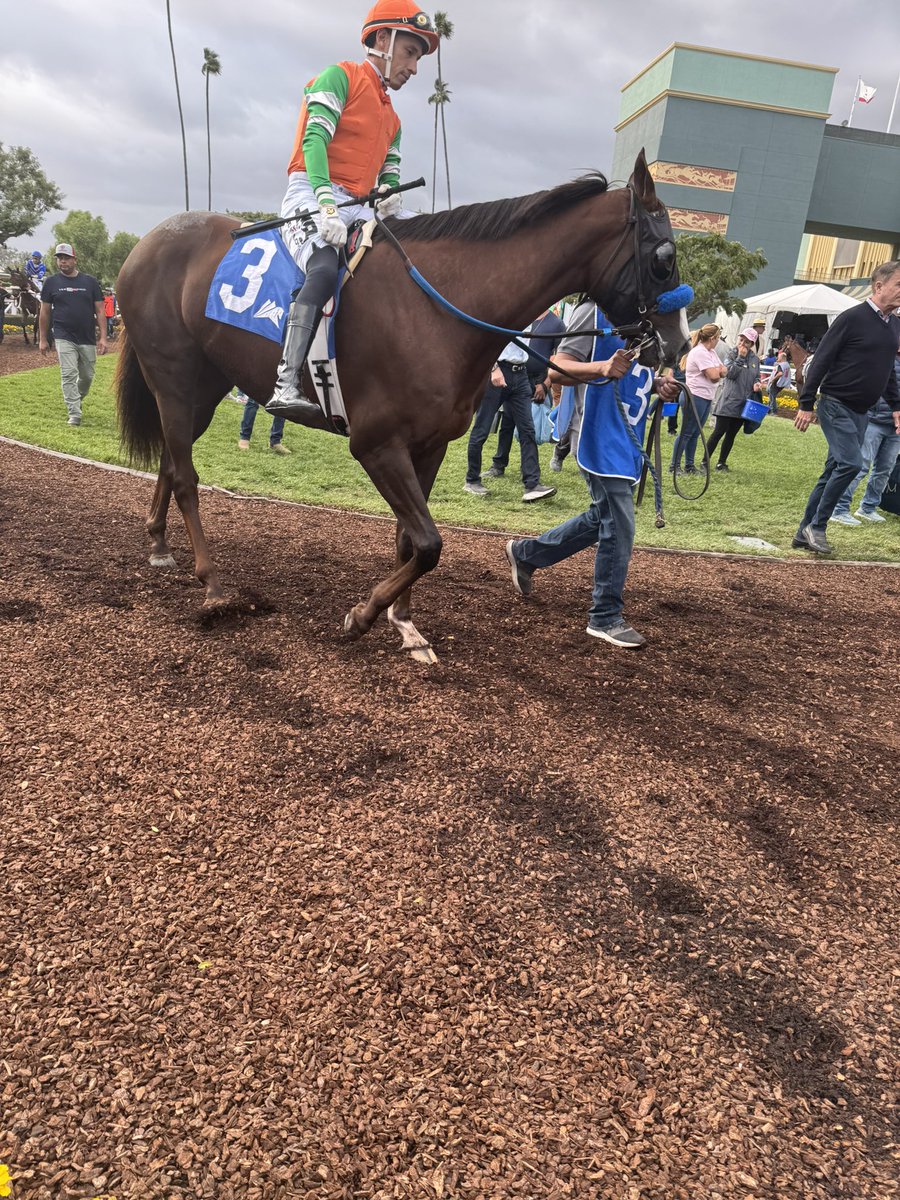 Trackgabe tweet media