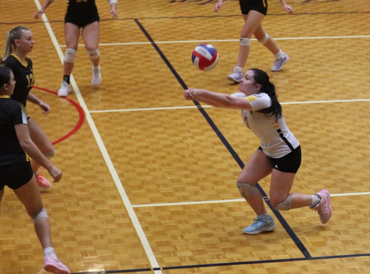 Johnny Painter tweet media