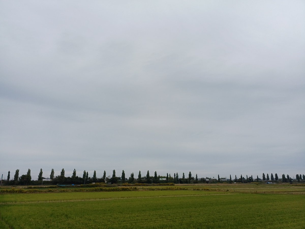 おはようございます😉
連休明け、どんよりとした曇り空からのスタートになりました。
少し前まで日中は暑いと言っていたはずなのに、一気に秋らしい気温になってきましたね🍂
季節の変化に気を付けながら、今週も元気に頑張っていきましょう💪
#企業公式相互フォロー祭り 
#企業公式秋のフォロー祭り