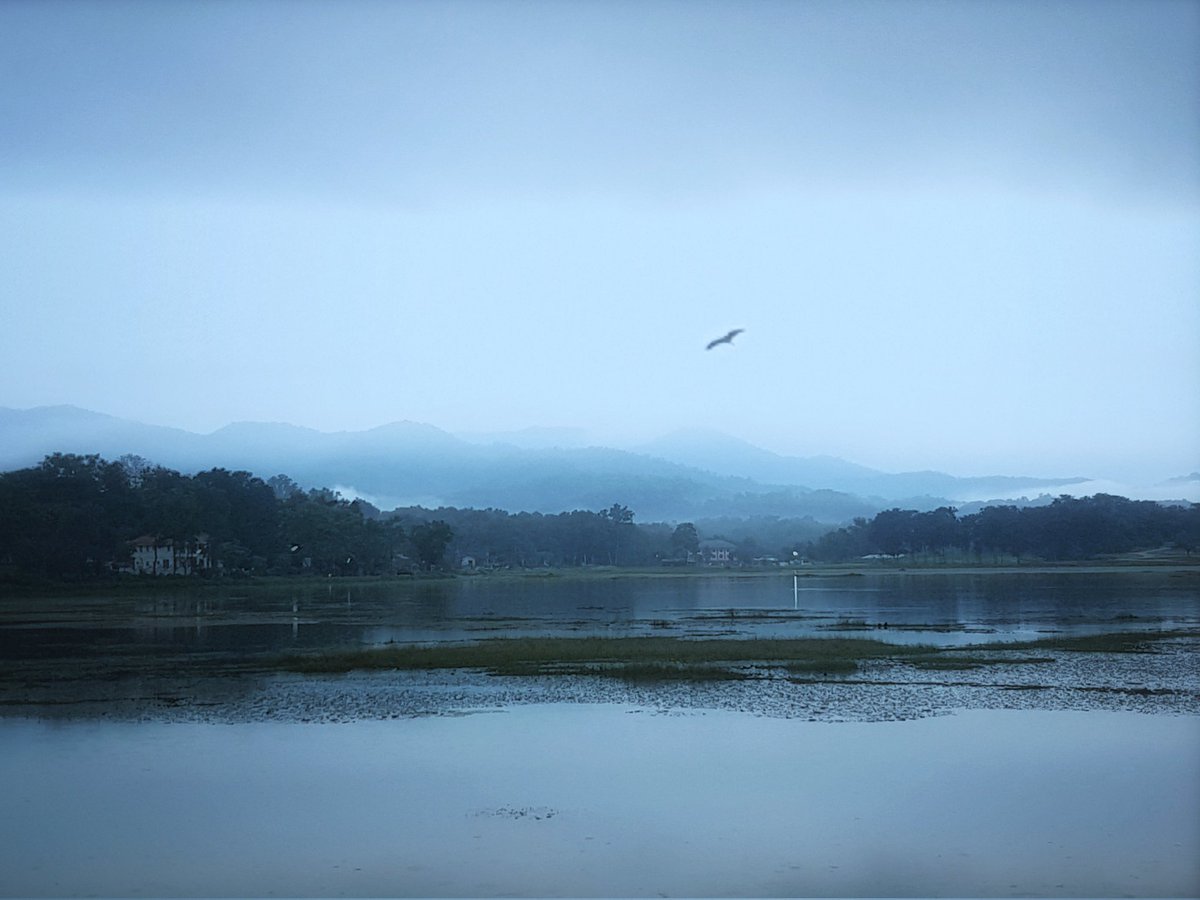 "Cold wind and rain"
#Photojin #PhotoArt