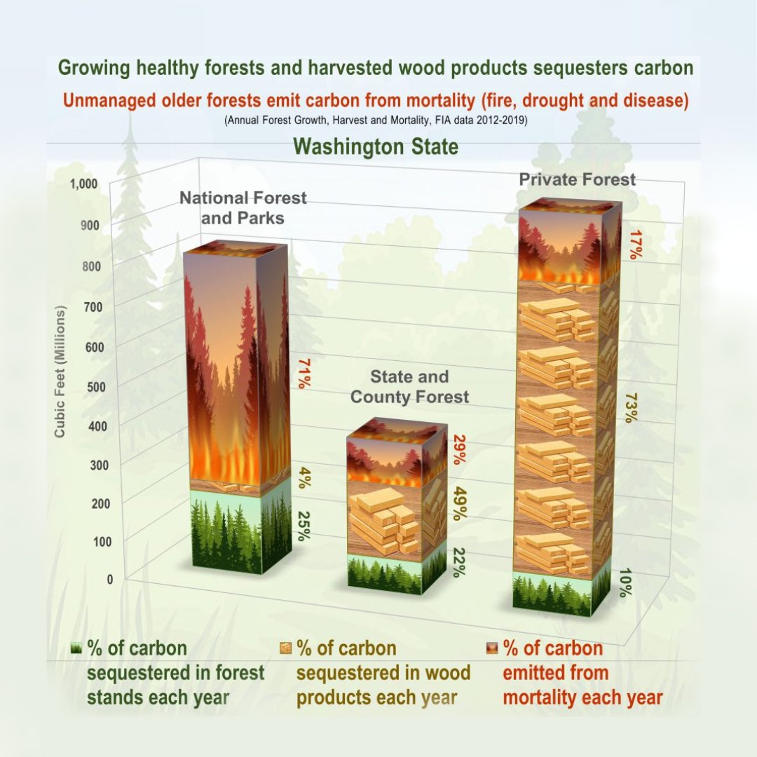 Actively managed forests optimize carbon sequestration through healthy, resilient and harvested trees that continue to lock in carbon throughout the wood product's lifespan. #workingforests