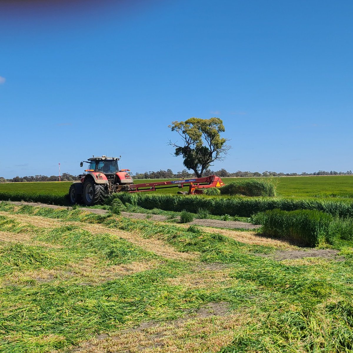 Irrigation Farmers Network (formerly ICC) tweet media