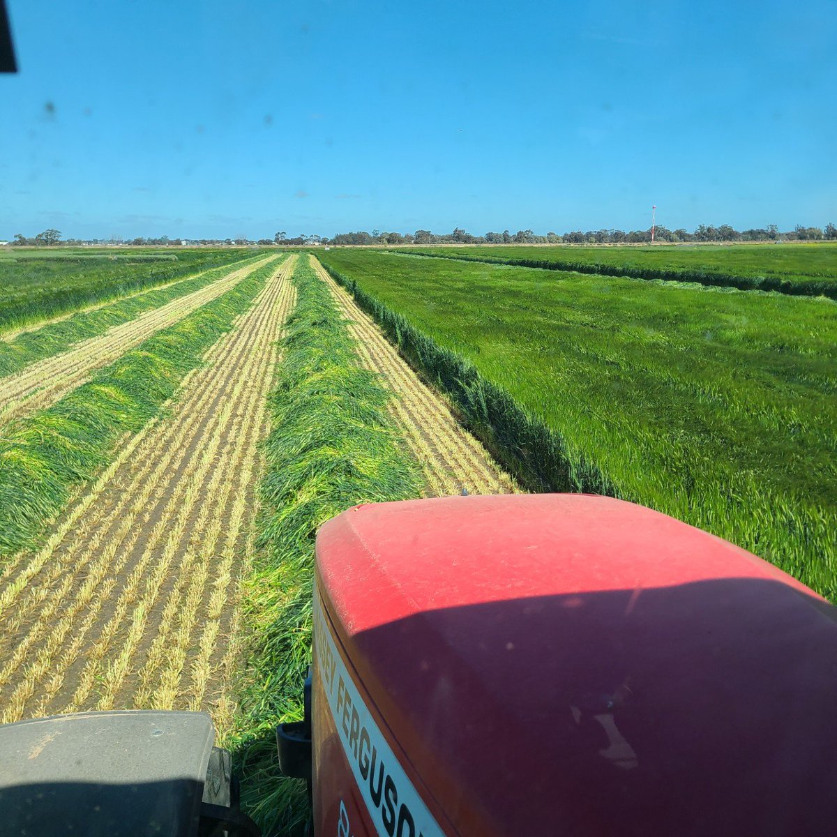 Irrigation Farmers Network (formerly ICC) tweet media