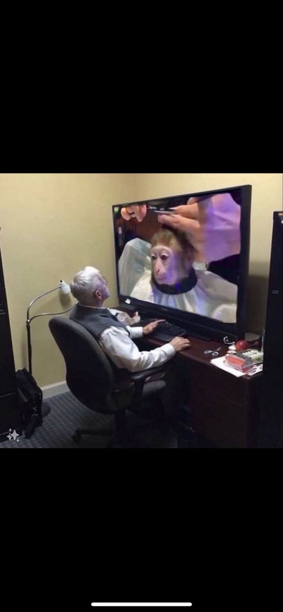 I still believe the hair will get cut 🐵✂️
<a href="/monkhairsol/">monkeyhaircut 👍</a> #Monk