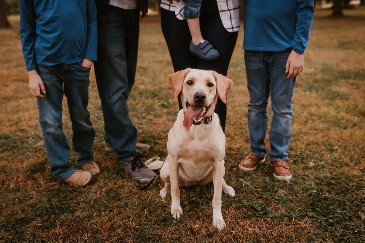 We have to say goodbye to our beautiful 1-year-old girl this week. She was diagnosed with oral fibrosarcoma in August. The tumor has gotten too big and is starting to slow her down/change her personality (sleeping a lot, not playing). We’re devastated. She’s such a good girl. 💔