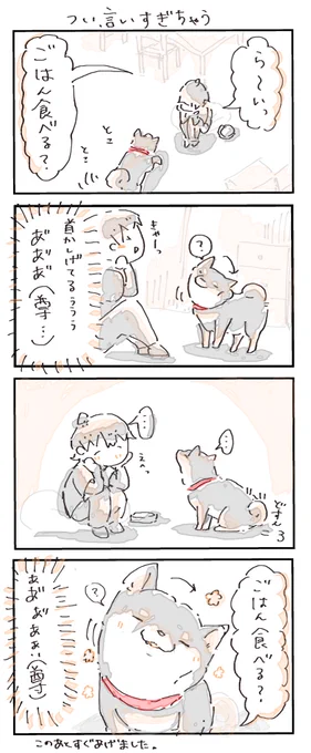 #4コマ漫画 #柴犬
つい、言いすぎちゃう 