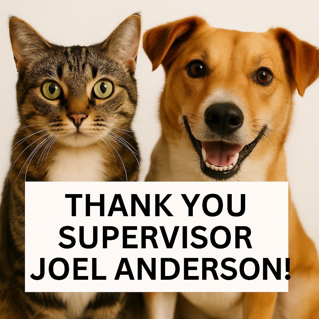 SNAPspayneuter's tweet image. 🐾 Big thanks to Supervisor Joel Anderson &amp;amp; San Diego County District 2! 💙

SNAP received a Community Enhancement Program grant to fund 2 FREE spay &amp;amp; neuter clinic days in January for pets in District 2’s unincorporated areas!

#ThankYou
 #SNAPsandiego
 #SpayNeuterSavesLives