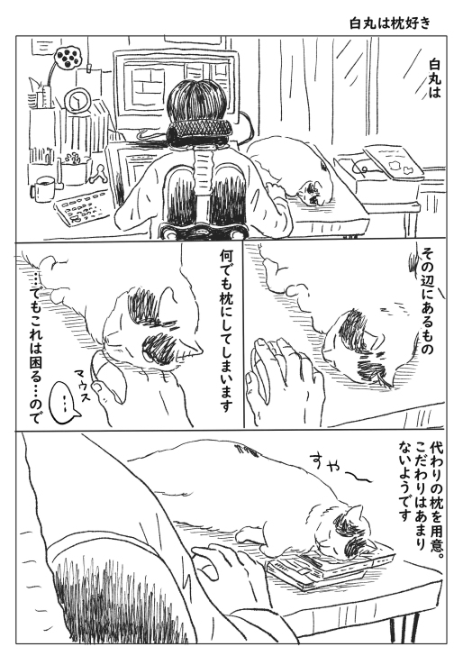 なんでも枕にする猫
#さくまのまんが 