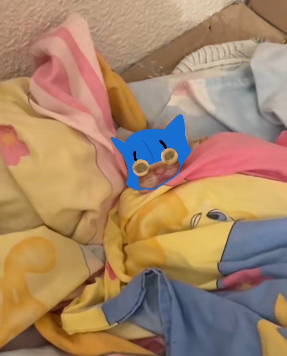  ᵀᴴᴱ B 𝐄𝐄𝐓𝐋𝐄 tweet media