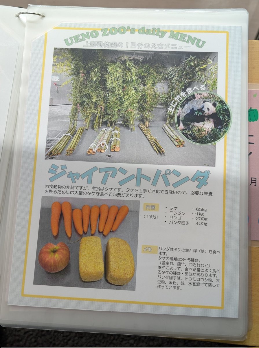 ✨パンダ団子✨
美味しそうな匂いでした！

秋の夜の動物園
「動物園を支えるお仕事を
　　　　　のぞいてみよう！」
　調整係のスポットガイド
20251013  上野動物園