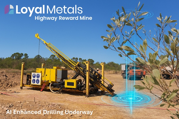 Loyal Metals tweet media