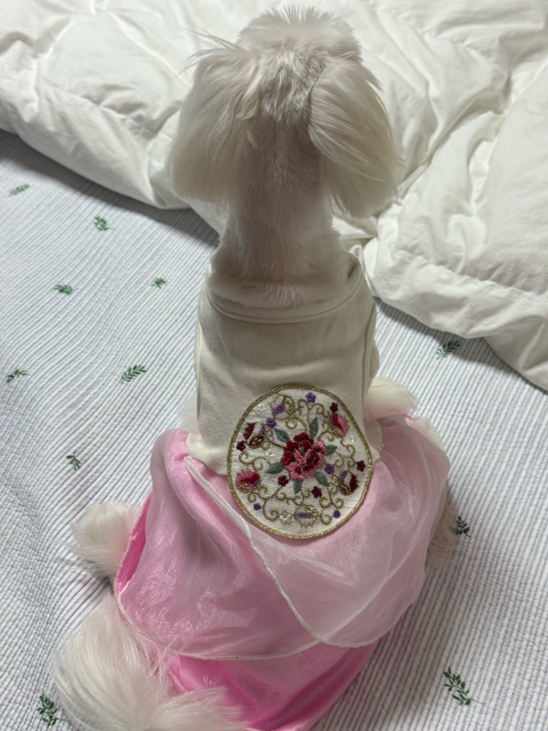 apinkbbls's tweet image. 🦅📸
[251006, 03:12PM KST]