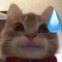 hmmm… let’s see i looked pretty decent on most days- no… can’t be… wait i am pretty good at video games! i might be the best… no that’s not it either… mmh..