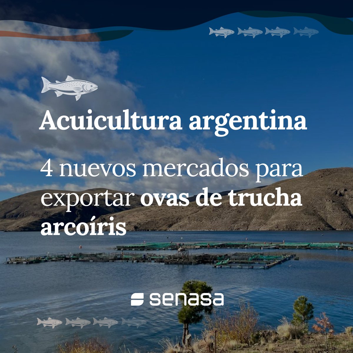 Por primera vez Argentina logró la apertura de cuatro mercados para ovas de trucha arcoíris 🐟 Es la primera apertura que se logra para las exportaciones de ovas de trucha arcoíris, como resultado de las gestiones realizadas junto con <a href="/agriculturaar/">Secretaría de Agricultura, Ganadería y Pesca</a> y <a href="/Cancilleria_Ar/">Cancillería Argentina 🇦🇷</a>