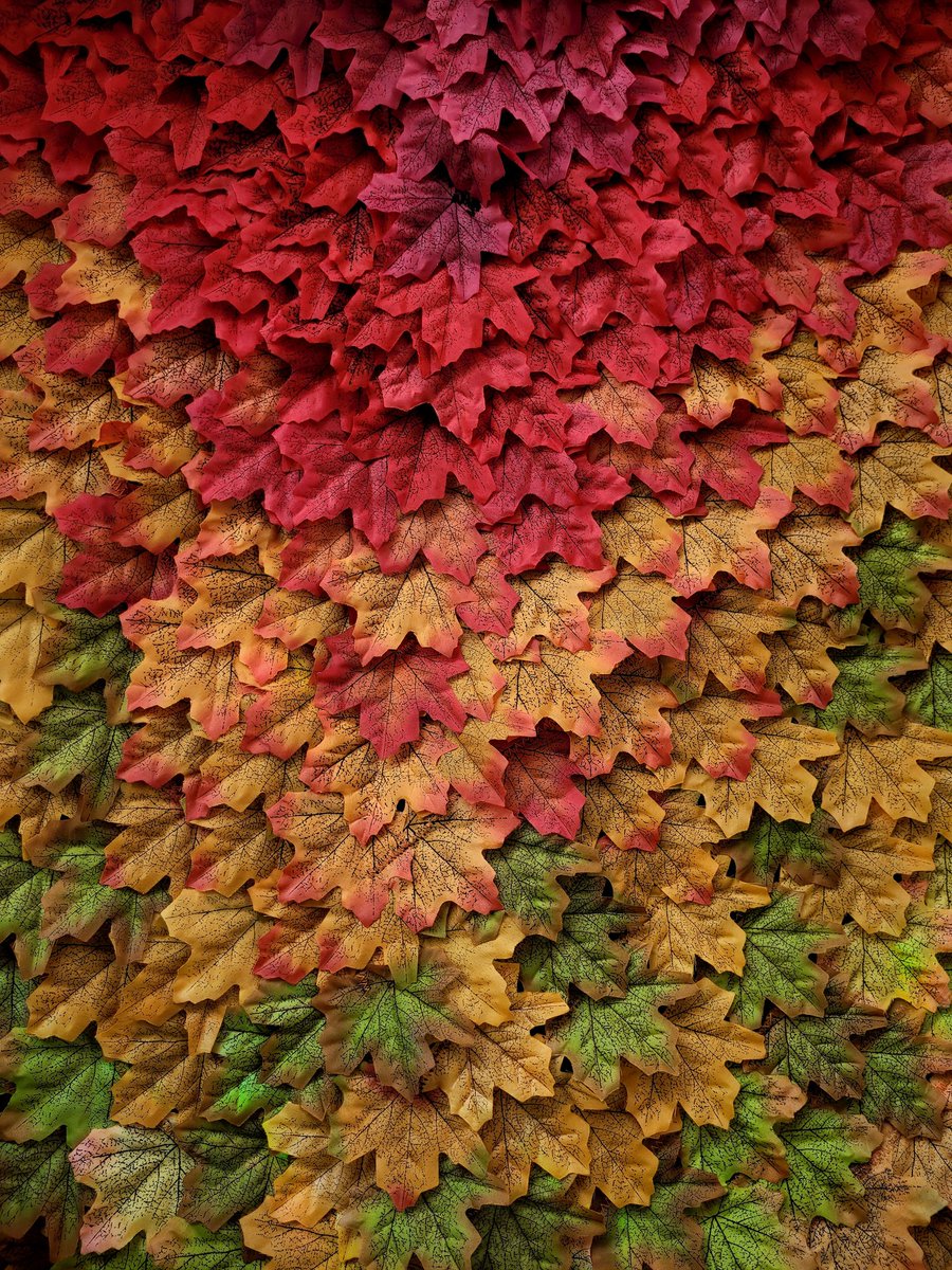 Un spoiler del disfraz qué estaré llevando para <a href="/Confuror/">Confuror 2025</a> ~ ✨️🏹🌿❣️

#Furry #Confuror