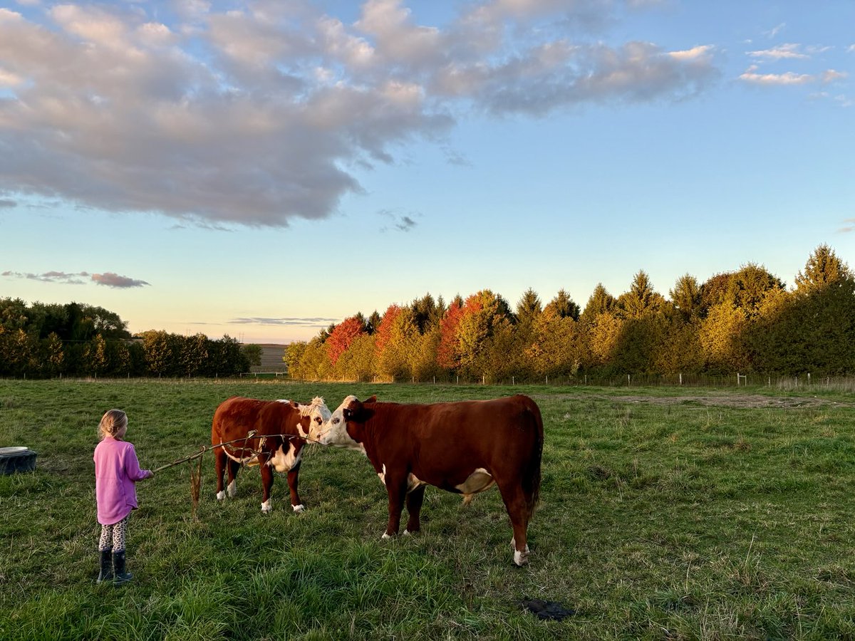 JaclynHorenberg's tweet photo. Ontario Agriculture Week is an opportunity to recognize and appreciate the abundance of food produced by so many hard working farm families.
We have so much to be thankful for! #ONTAgWeek #LoveONFood #thankful https://t.co/u6MdPOHUvj