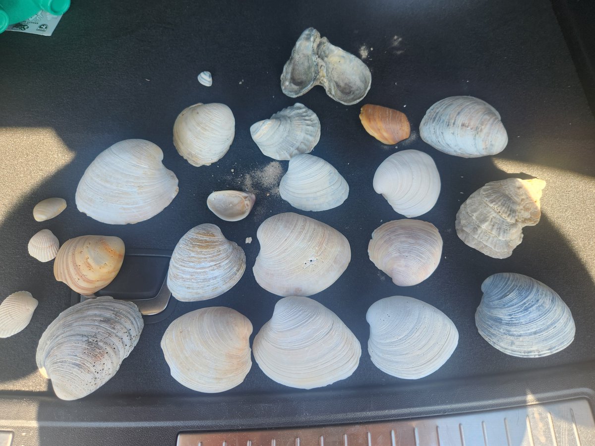 Jim @ JimCoin tweet media