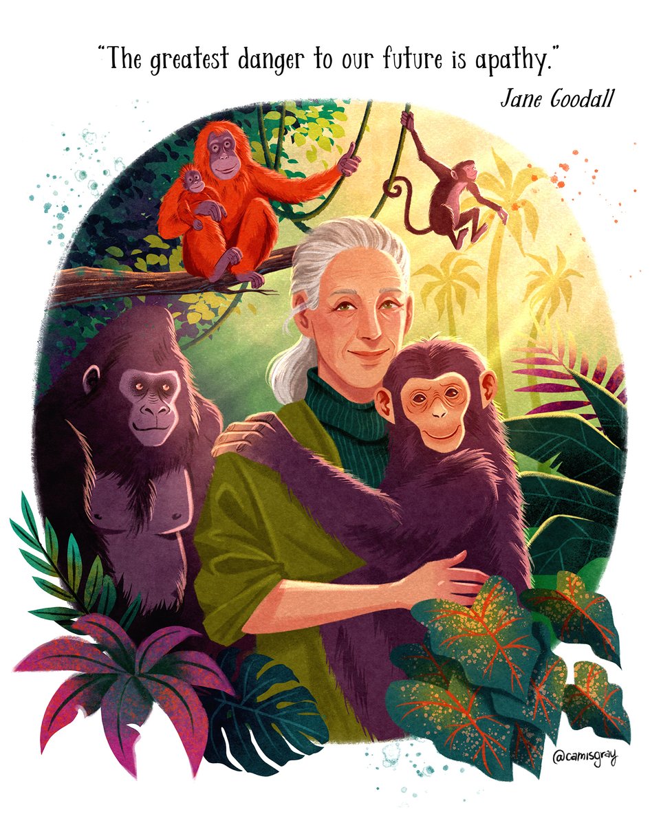 Camis&Bebis tweet media