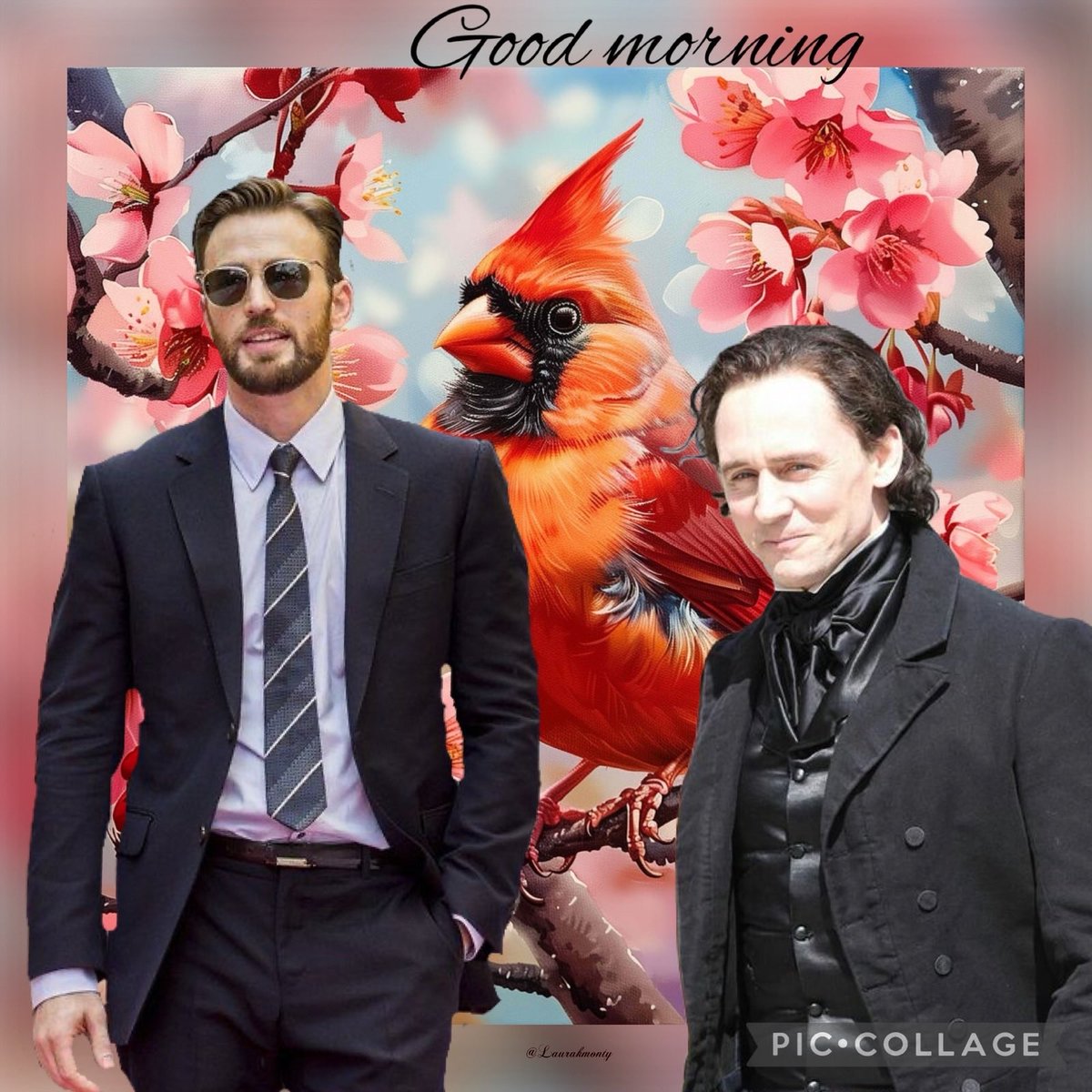 #TomHiddleston #HiddlesTuesday #ThomasTuesday #ChrisEvans #TeamPopcorn #GoodMorning <a href="/PeachyKeenBean7/">🌊🌊✨Miz Peachy 🍑 Keen ✨💙🇺🇦💛🌊🌊</a> <a href="/Laurakmonty/">Laura ❤️Loki, Cap forever 🇨🇦❤️😘🤗🙏🎃🖤🧡🌹</a> <a href="/EvanRennerWorth/">Captain Dorito🇨🇦🍁🇨🇦🍁🇨🇦🍁</a> <a href="/carolmkik/">Carol M Kik</a> <a href="/HiddlesDoctor/">GingerDoctorHiddles 🧸</a> <a href="/Anihelen/">💛❤️💚⍟ Ana Martins ⍟ ʬ⁸⁴🧉💚❤️💛</a> <a href="/CallOfDutyEvans/">CallOfDutyChris ‎⍟ 🥥🌴❤️🧡🇺🇸😈🌻🦄</a> <a href="/TelaDrin/">Frances Morrighan 🟧💙</a> <a href="/MargoPapillon/">Papillon (margo)</a> @CanuckKris <a href="/DunlopTracey/">Tracey ☀💚 Loki ४</a> <a href="/dispereira/">Diana ४ ⎊ 🏴‍☠️</a>