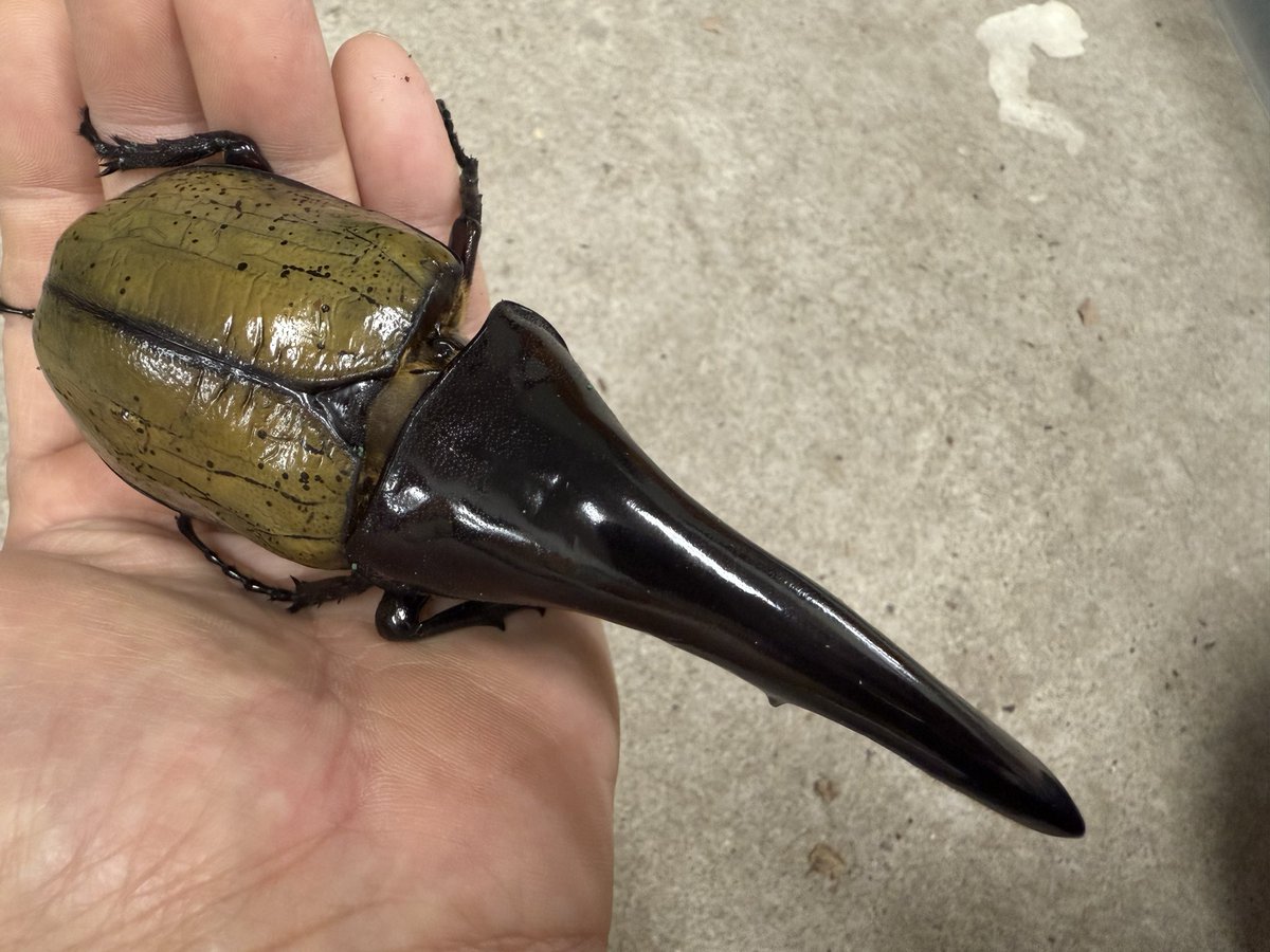 HirokA (@HirokA_world) / Posts / X