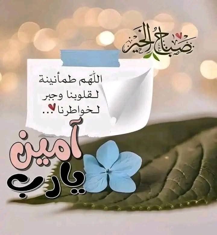 صباح الورد والياسمين 🌹🐦
صباح الخير والسعادة
صباح  النور والسرور 🌹
#آتى الصب🌞ــاح ☕
يحمل معه كل الأماني،و الأمنيات لتُزهروتملأ الوجودباجمل البشائر السعيدة،
#تفائل وابتسم وثق بربٍ كريم.
وابدأ يومك بحُسن الظن بالله.
وسوف يَكون كُل شئ كما تتمنى واكثر👌
🦋طبتم وطاب صباحكم 
🤲🦋🤲